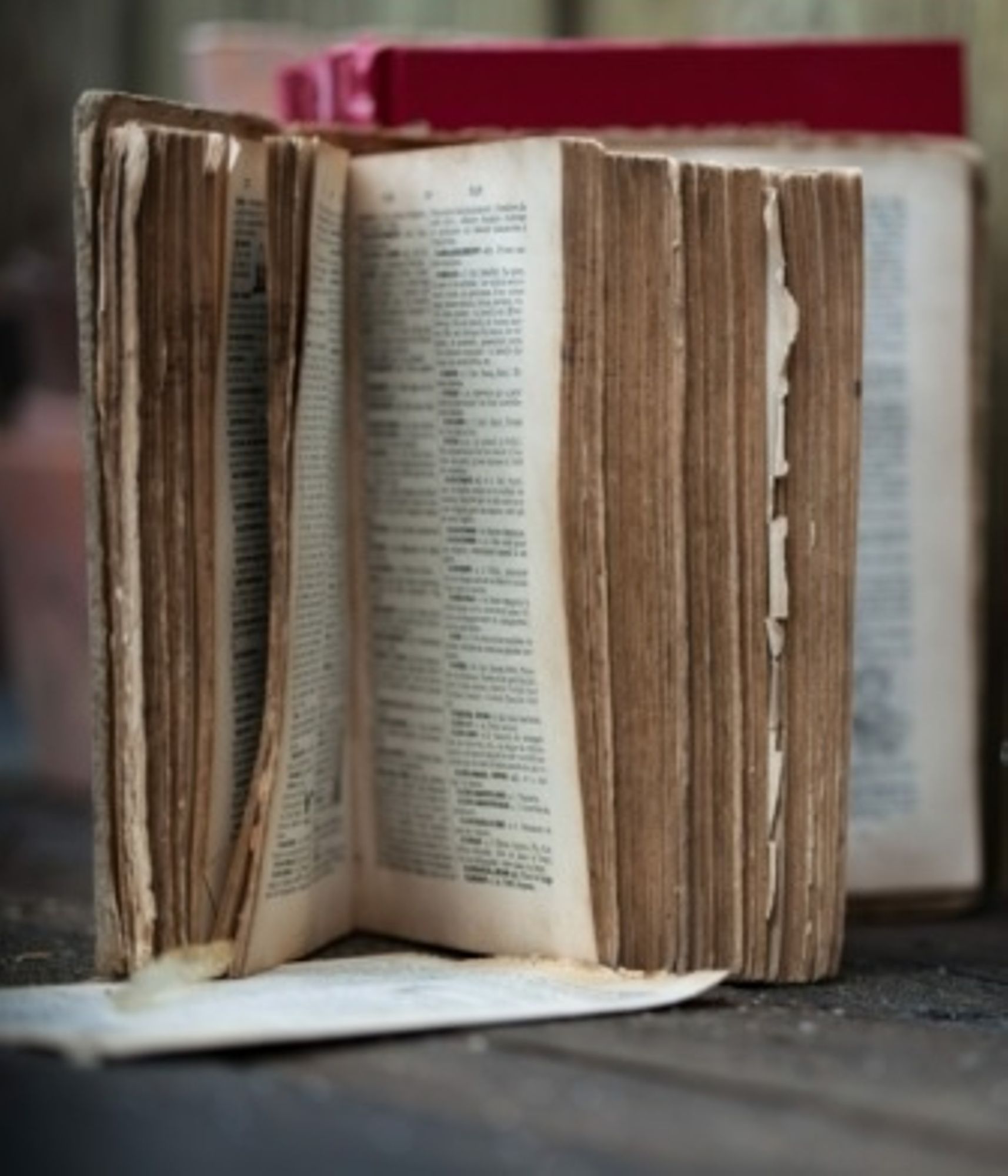 À quoi les premiers livres pour enfants ressemblaient-ils ?