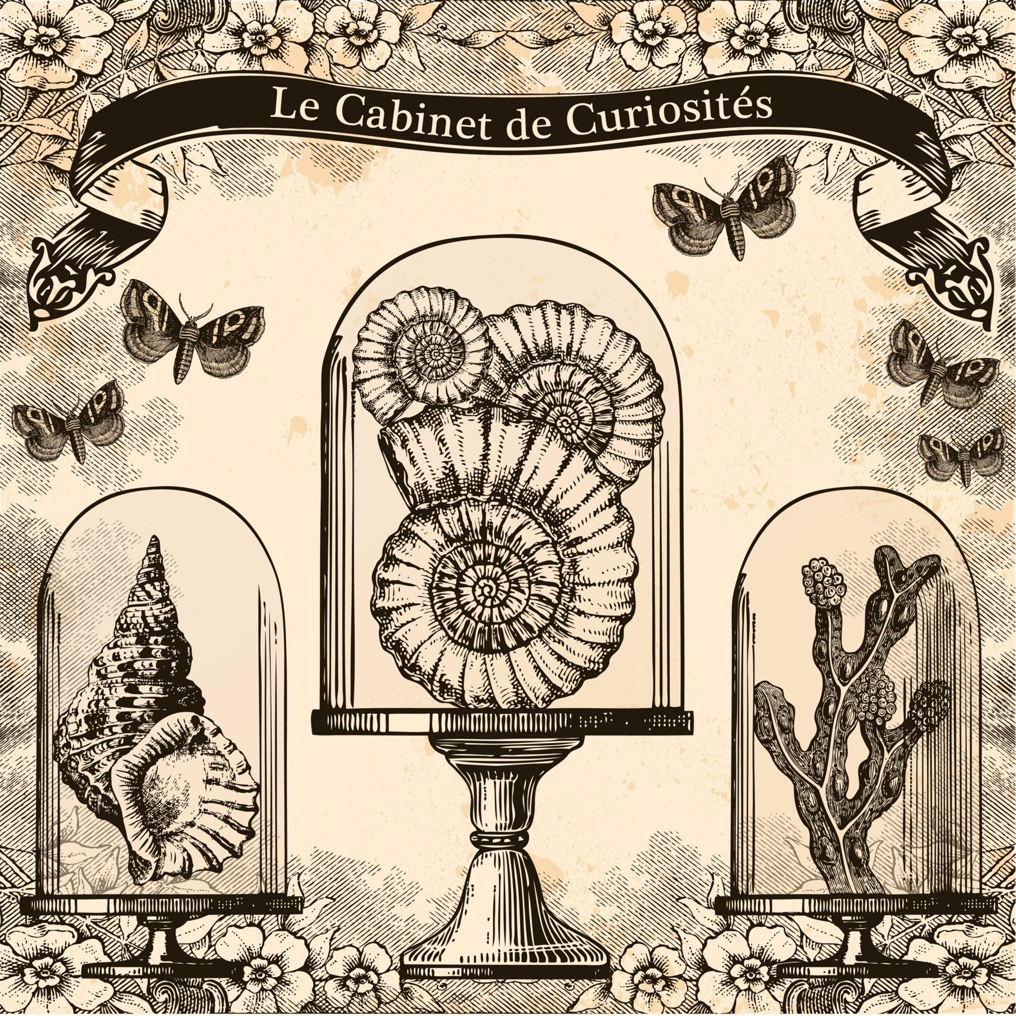 Un cabinet de curiosités, kézaco ?